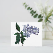 lila briefkaart (Staand voorkant)