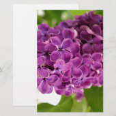 Lila Briefpapier (Voorkant / Achterkant)