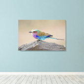 Lila broodrooster (Coracias caudata) Canvas Afdruk (Insitu (Houten vloer))
