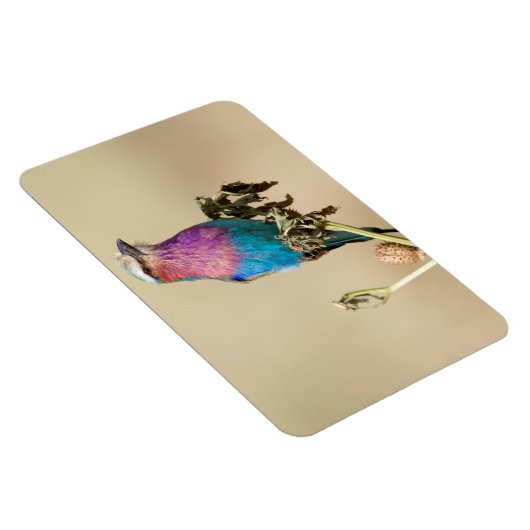 Lila broodrooster magneet (Rechterzijde)