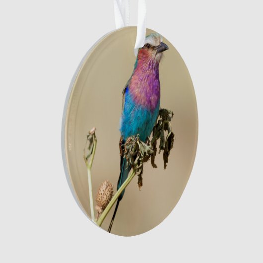 Lila broodrooster ornament (voorkant)