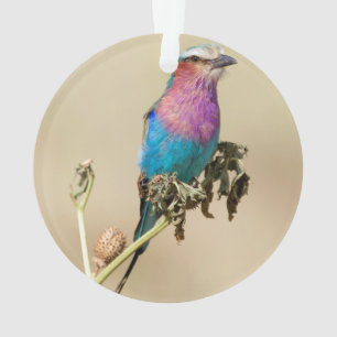 Lila broodrooster ornament