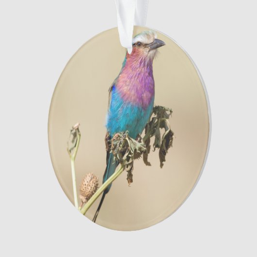 Lila broodrooster ornament (voorkant)