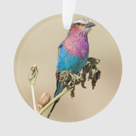 Lila broodrooster ornament (voorkant)