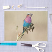 Lila broodrooster tissuepapier (Craft)