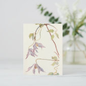Lila Clematis door Margaret Armstrong Briefkaart (Staand voorkant)