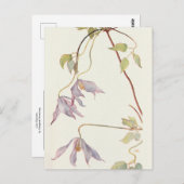 Lila Clematis door Margaret Armstrong Briefkaart (Voorkant / Achterkant)