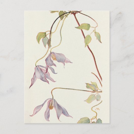 Lila Clematis door Margaret Armstrong Briefkaart (Voorkant)