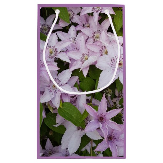 lila, clematis, mooi, bloem, lila bloem, klein cadeauzakje (Achterkant)