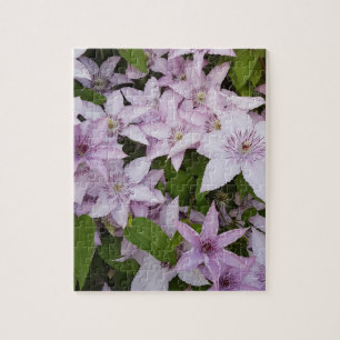 lila, clematis, mooi, bloem, lila bloem, legpuzzel