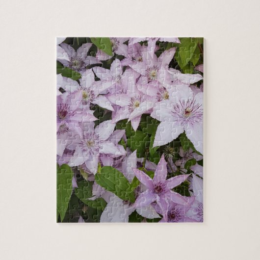 lila, clematis, mooi, bloem, lila bloem, legpuzzel (Verticaal)