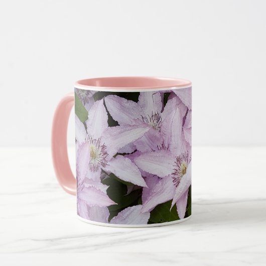 lila, clematis, mooi, bloem, lila bloem, mok (Voorkant links)