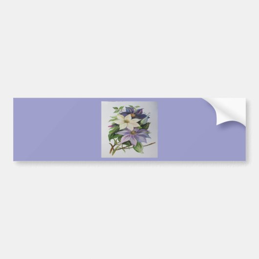 Lila Clematis vijn Acrylverf Bumpersticker (Voorkant)