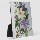 Lila Clematis vijn Acrylverf Fotoplaat (Zijkant)