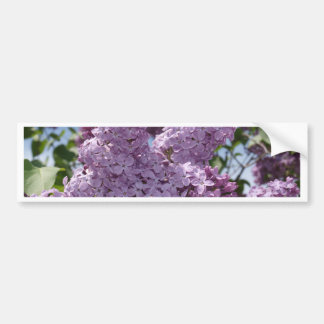 Lila cluster bumpersticker