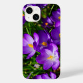 Lila Crocuses iPhone Case (Achterkant)