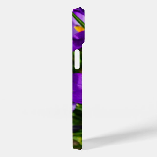 Lila Crocuses iPhone Case (Achterkant / Rechts)