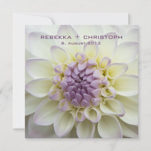 Lila Dahlie • Hochzeits-Einladung Kaart (Voorkant)