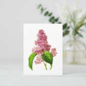 Lila door Pierre Joseph Redoute Briefkaart (Staand voorkant)