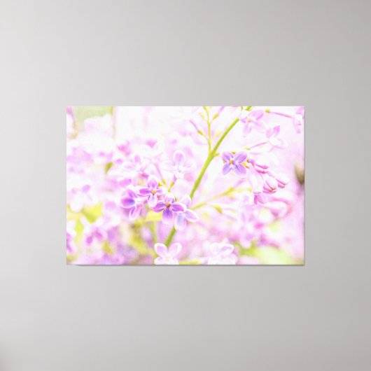 Lila drijvers canvas afdruk (Voorkant)