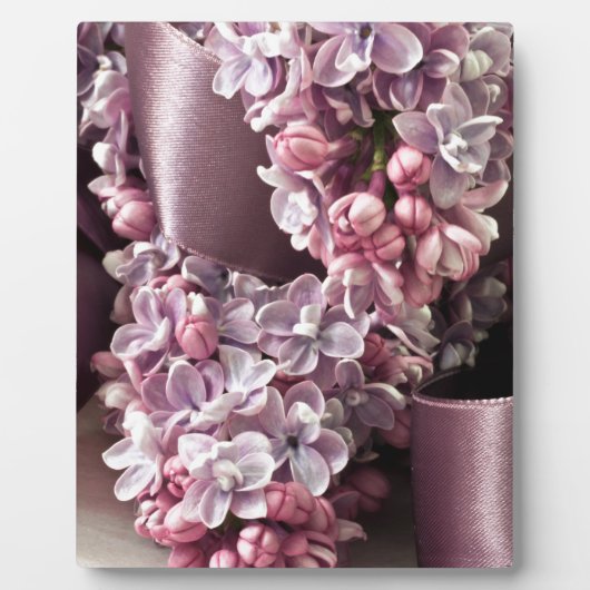 Lila en lintblokken fotoplaat (Voorkant)