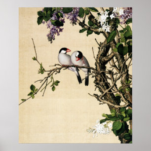 Lila en witte Syringa Fine Art Poster