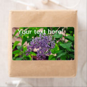 Lila Etiket (Insitu)