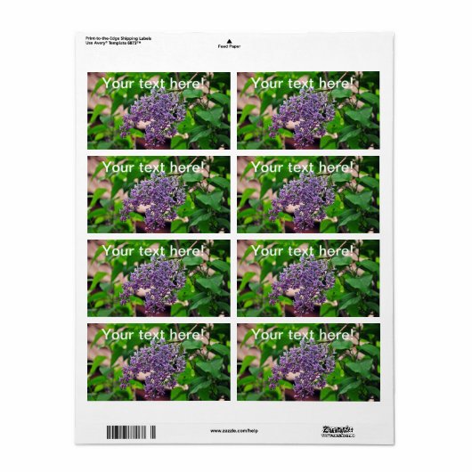 Lila Etiket (Full Sheet)