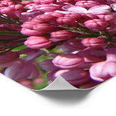 Lila festival poster (Hoek)