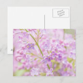 Lila Flowers Mist Briefkaart (Voorkant / Achterkant)