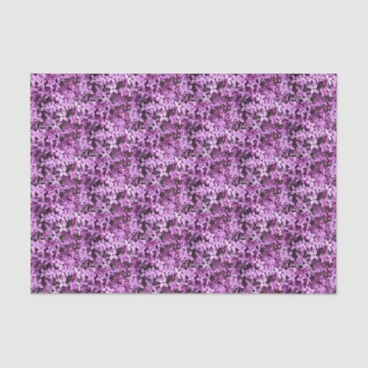 Lila foto | Halve tapijten | Tissuepapier (Voorkant)