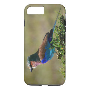 Lila geborsteld varken iPhone 7 Hoesje