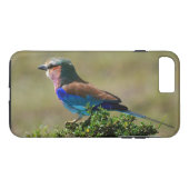 Lila geborsteld varken iPhone 7 Hoesje (Achterkant (Horizontaal))