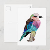 Lila gebrande rolvogel briefkaart (Voorkant / Achterkant)