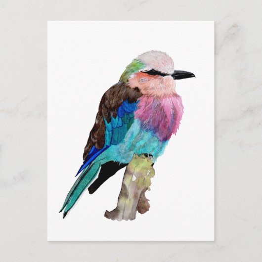 Lila gebrande rolvogel briefkaart (Voorkant)