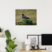 Lila gebrande rolvogel poster (Thuiskantoor)
