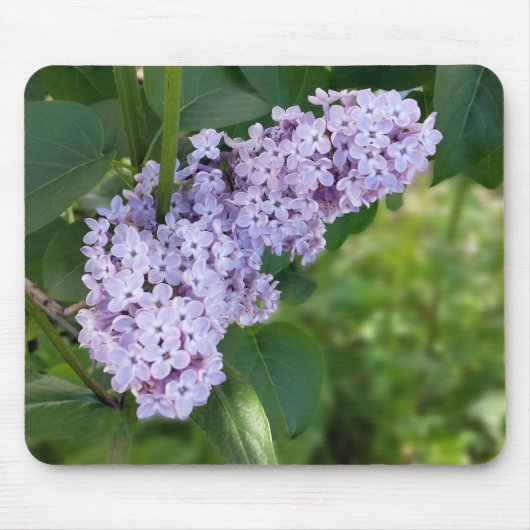 lila gordijn muismat (Voorkant)