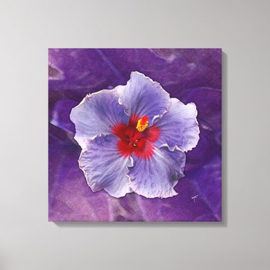 Lila Hibiscus Canvas Afdruk (Voorkant)