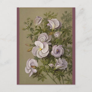  Lila Hibiscus Purple Flowers Floral Briefkaart