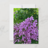 Lila Huwelijkselegante paarse lavendelbloem Kaart (Achterkant)