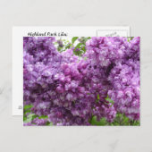 Lila in Bloom Briefkaart (Voorkant / Achterkant)