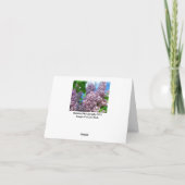 LILA KAART 1 (Achterkant)