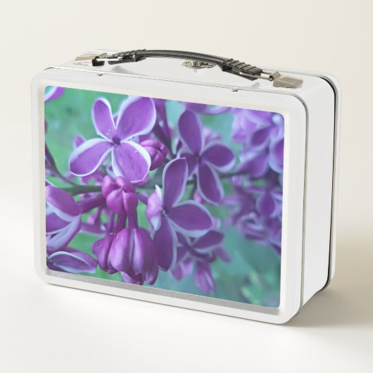 Lila kleurverscheidenheid (Achterkant)