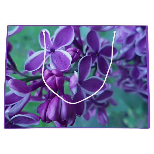 Lila kleurverscheidenheid groot cadeauzakje (Voorkant)