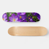 Lila kruispunten skateboard (Horizontaal)