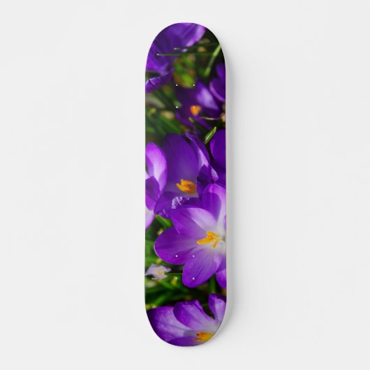 Lila kruispunten skateboard (Voorkant)