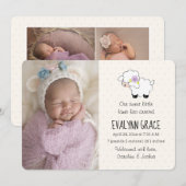 Lila Lamb Spring Fotocollage Geboorte Aankondiging (Voorkant / Achterkant)