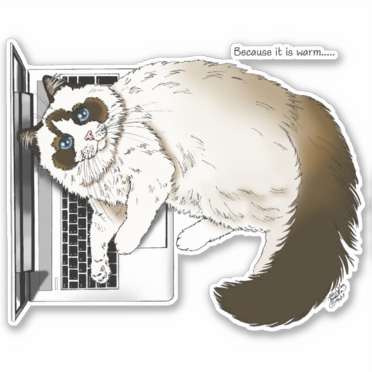 Lila Laptop Cat Funny Schattige Sticker (Voorkant)