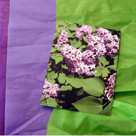 Lila liefde briefkaart