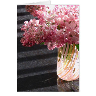 Lila 'Maiden's Blush'